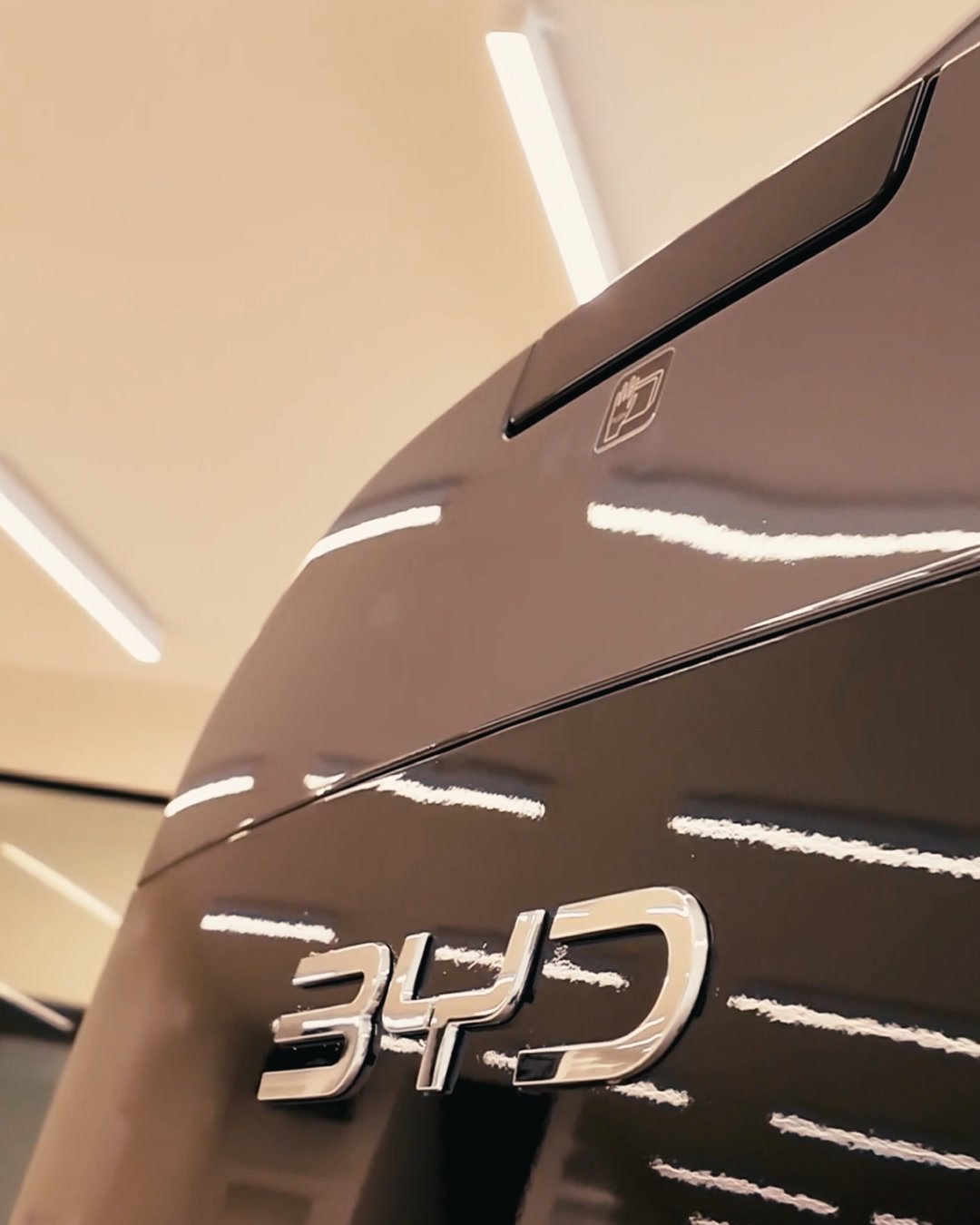 BYD badge in macro on glossy protected paint